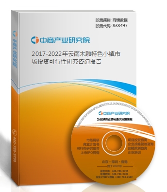 2019-2023年云南木雕特色小鎮市場投資可行性研究咨詢報告