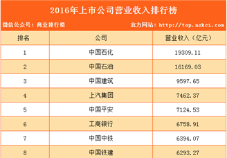2016年上市公司营业收入排行榜（TOP100）