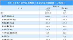 2021年1-6月全國規模以上工業企業利潤總額同比增長66.9%（圖）