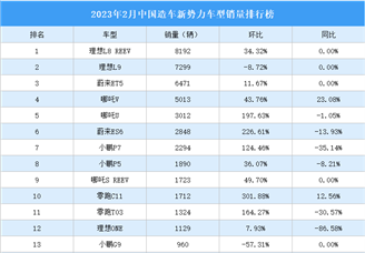 2023年2月中国造车新势力车型销量排行榜（附榜单）