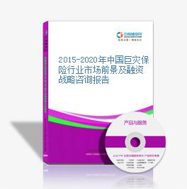 2015-2020年中國巨災保險行業市場前景及融資戰略咨詢報告