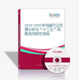 2016-2020年純堿行業發展分析與“十三五”戰略規劃研究報告