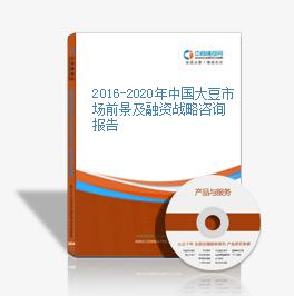 2016-2020年中國大豆市場前景及融資戰略咨詢報告