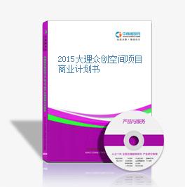 2015大理眾創空間項目商業計劃書