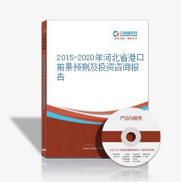 2015-2020年河北省港口前景預測及投資咨詢報告