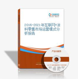 2016-2021年互聯網+涂料零售市場運營模式分析報告