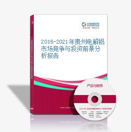 2019-2023年貴州電解鋁市場競爭與投資前景分析報告